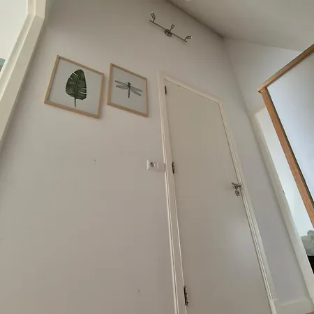 Fab City * אלקמאר